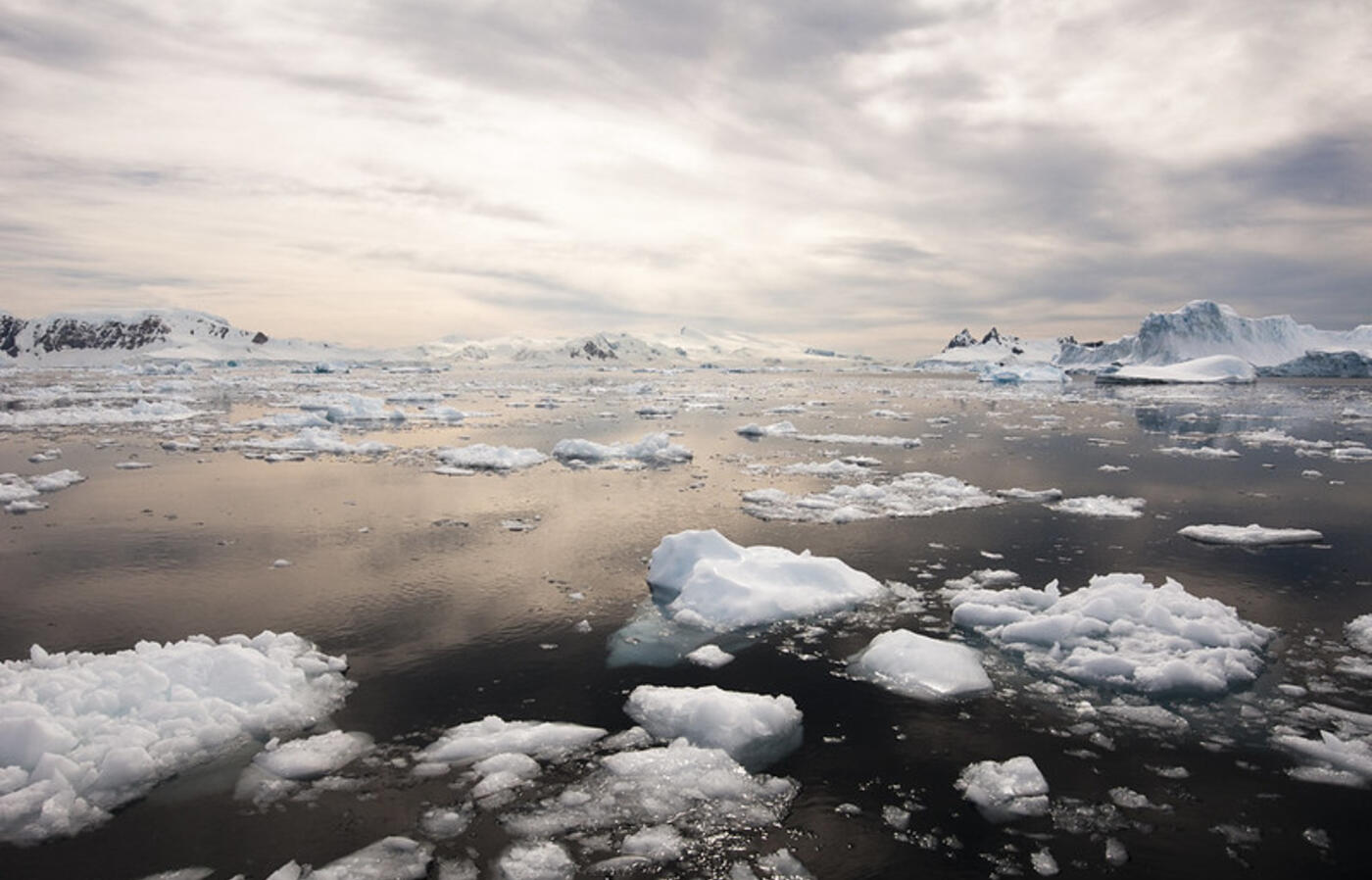Sea ice floating in water with hazy sunshine coming through clouds