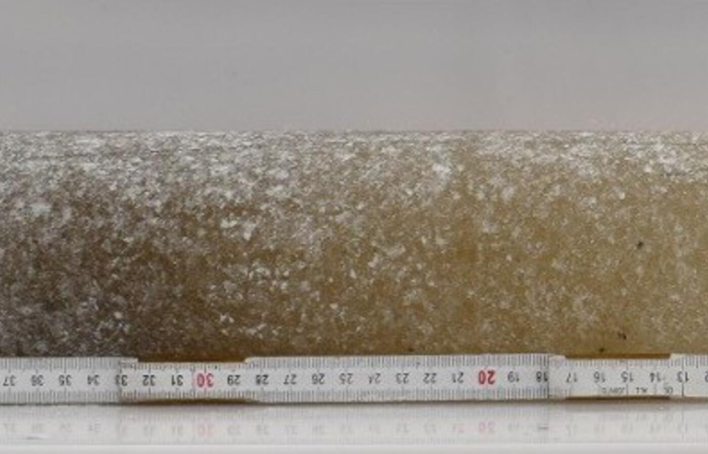 A cylinder shaped core of 6 million year old ice with variations in color from brown to light beige.