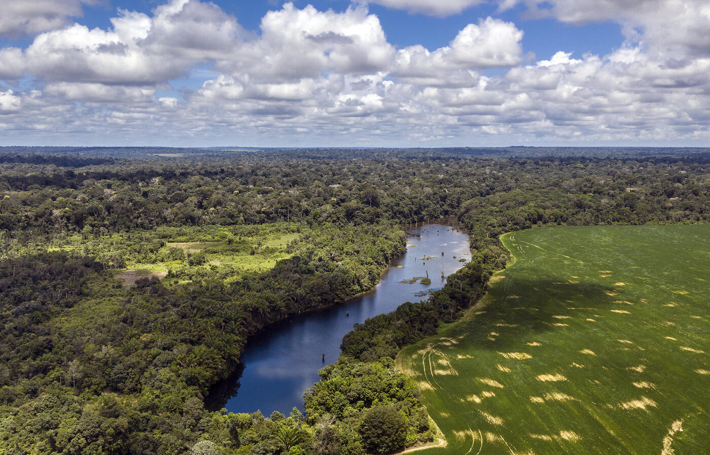 Photo of the Amazon region in Brazil by Marizilda Cruppe provided by the OSU College of Agricultural Sciences.