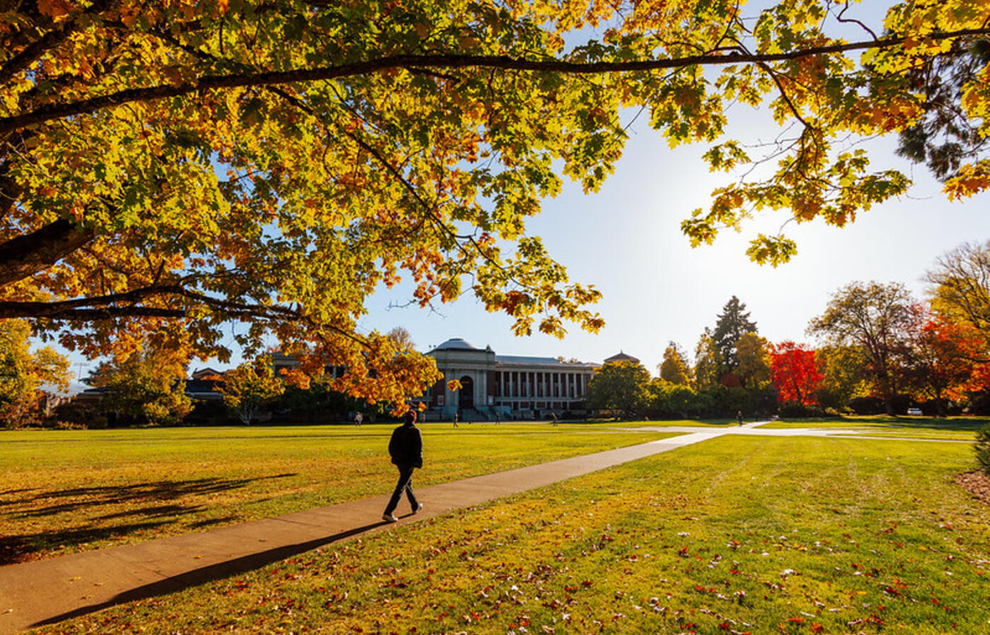 Person walking on a sidewalk on the quad in front of the Memorial Union at Oregon State University.