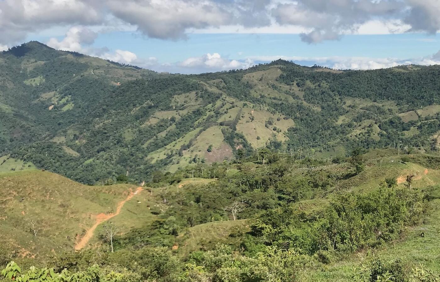 The landscape around Las Cruces Biological Station, Costa Rica, shows small forest patches in a somewhat permeable matrix (photo provided by Matt Betts, OSU College of Forestry)