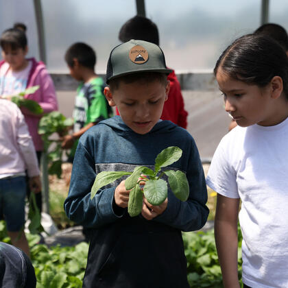 Children participate in a hands-on agricultural learning activity, with one child examining a leafy plant while others work with greens in the background inside a greenhouse.