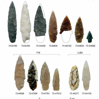 Arrowhead shaped stone tools of various colors lined up on a white background