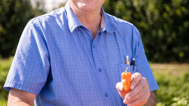 Jim Myers holding platter of mild habanero peppers in field
