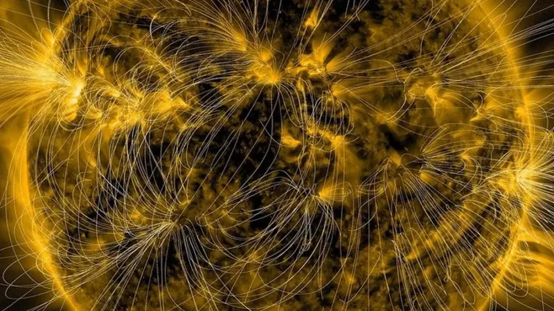 A depiction of the Sun’s magnetic fields is overlaid on an image of the Sun captured in extreme ultraviolet light by NASA’s Solar Dynamics Observatory on March 12, 2016. NASA/SDO/AIA/LMSAL