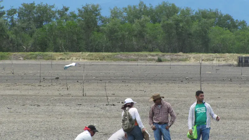 A group of yung people are collecting soil data in Honduras.