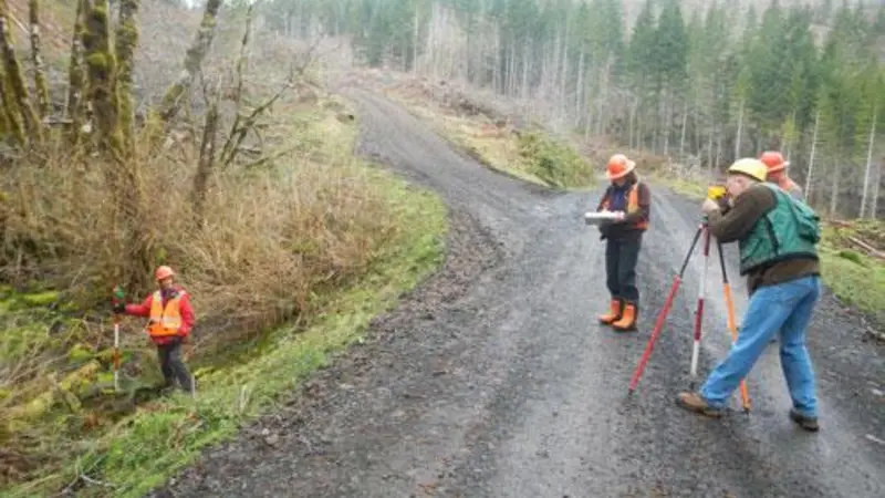 A small group of people are surveying a gravel road in a forest. They're wearing construction hard hats.