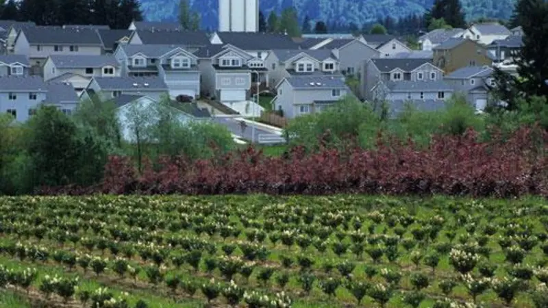 A farm is in the foreground and a subdivision of houses is in the background.