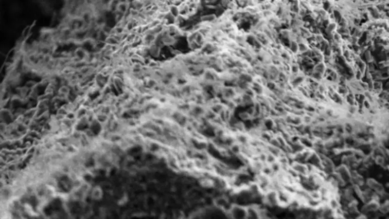 Scanning electron microscope image of the carbon capture titanium molecules after exposure to air. The molecules release oxygen gas upon capture of carbon dioxide, creating a spongelike substance that enables reactivity throughout the crystals, not just on the surface. Image provided by May Nyman and Karlie Bach, OSU College of Science.