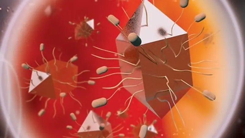 Uniquely shaped, fast-heating nanoparticles halt ovarian tumor growth