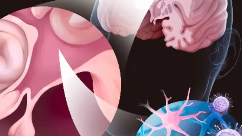 Nanocarriers crossing the blood-brain barrier. Image by Tetiana Korzun.