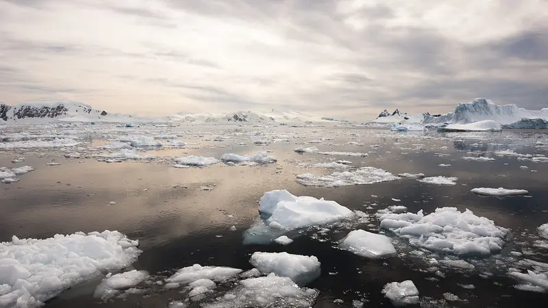 Chunks of sea ice floating in water with hazy clouds and sunbeams