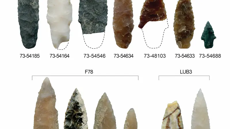 Arrowhead shaped stone tools of various colors lined up on a white background