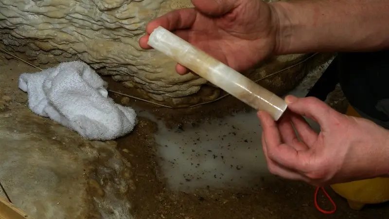 A cylinder of calcite cored out of a cave wall. The calcite is varying shades of cream, brown and yellow.