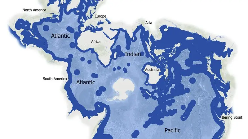 A Spilhaus projection that shows both the one-third of the ocean under countries’ national jurisdiction – known as Exclusive Economic Zones – and the two-thirds that make up the high seas.