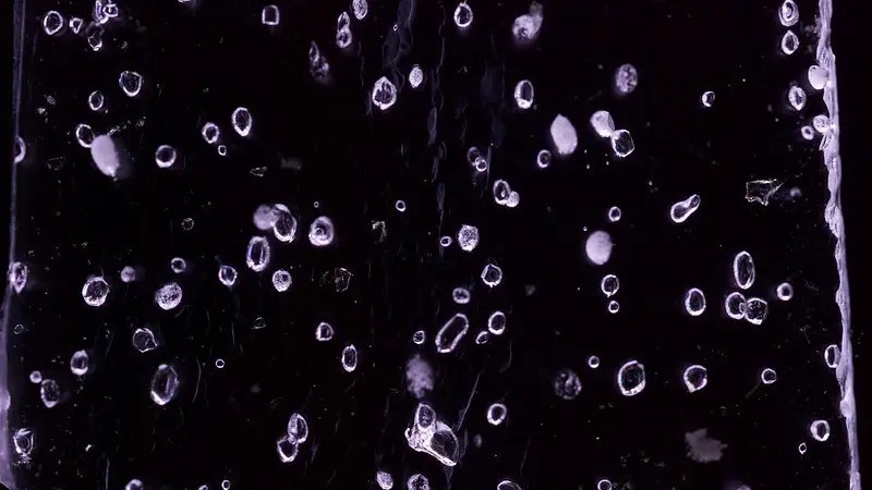 Close up image of tiny bubbles encased in ice from Antarctica.