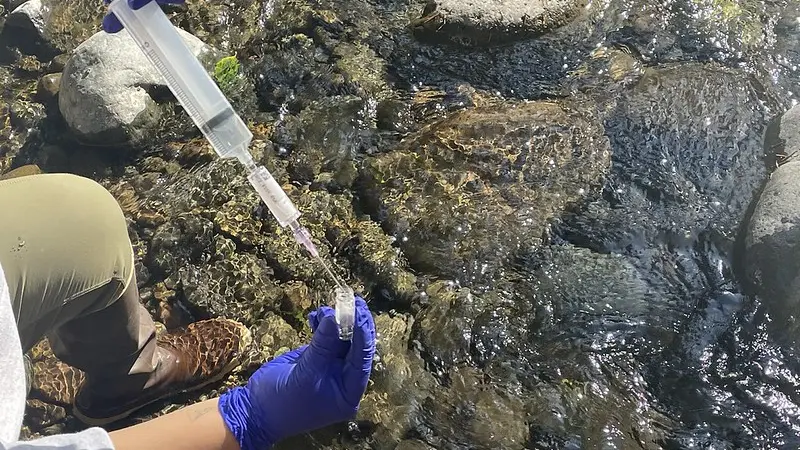 Researchers using a syringe to collect a water sample on the Naches River