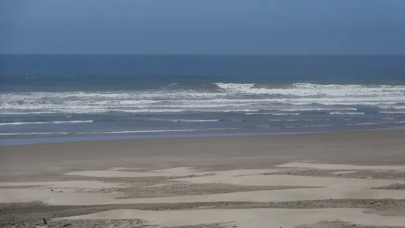 Image of surf and sand at Driftwood Beach south of Newport, Oregon. 