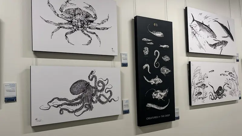 Artistic renderings of sea creatures in black ink on canvases hanging on a all 