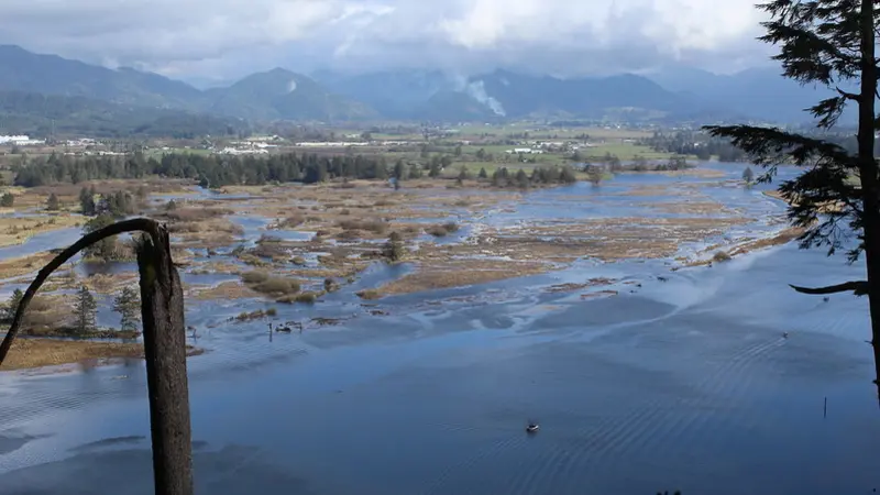 View of restored wetlands in the Tillamook Bay 