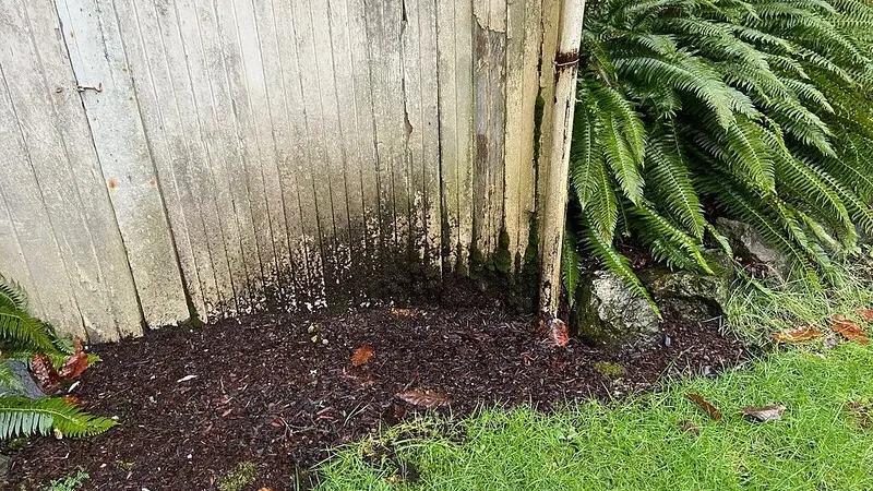 Moisture damage on wood.