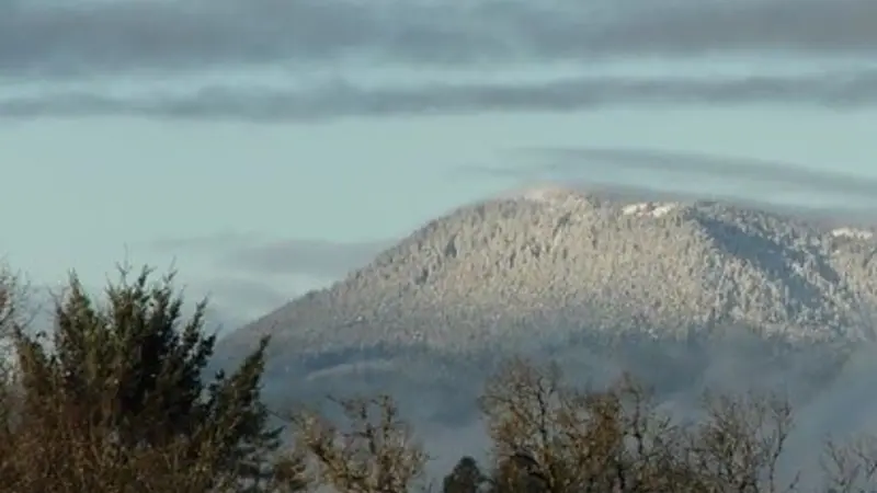 Marys Peak, highest point in the Oregon Coast Range. Photo by Steve Lundeberg, Oregon State University.