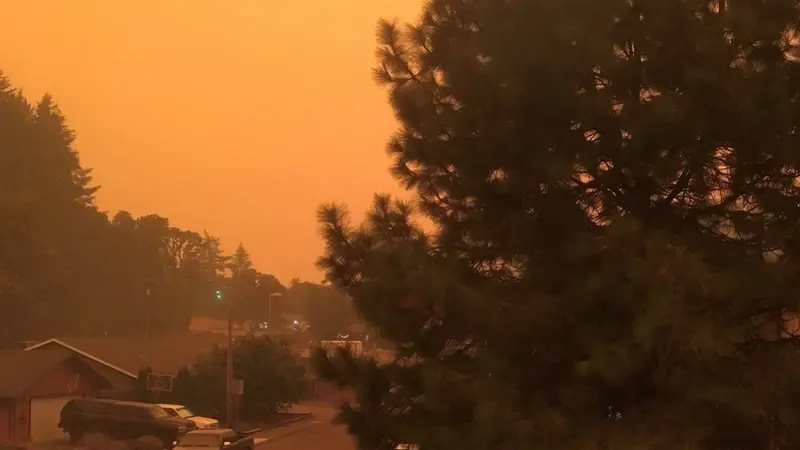 Smoke from a wildfire chokes the air in a neighborhood 