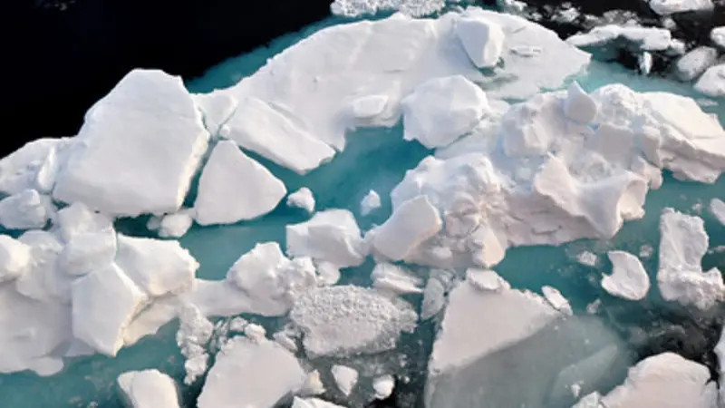 Chunks of broken up sea ice 