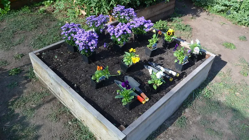 Raised bed