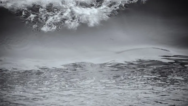 Image of ocean wave starting to form 