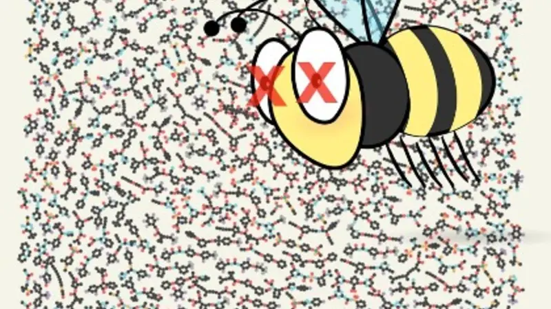 Pesticide toxicity graphic