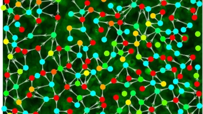 communication network