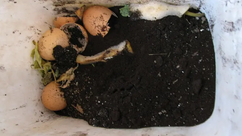 coffee grounds are mixed into a compost container with egg shells