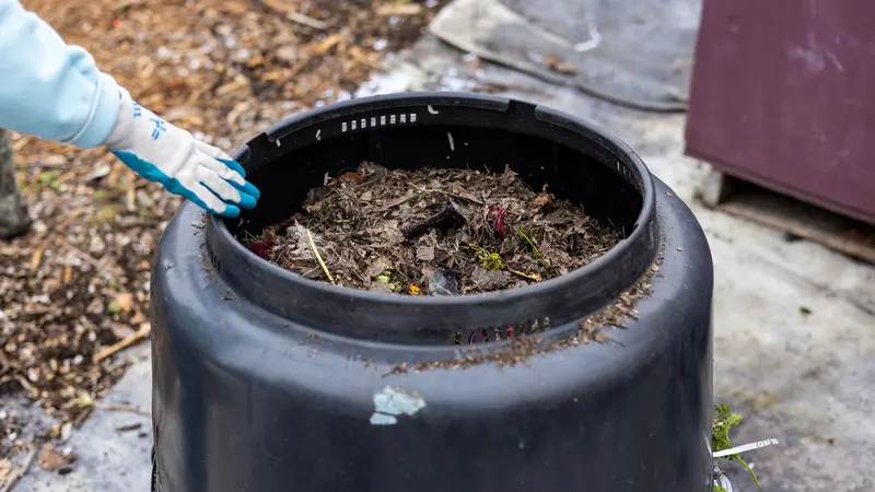 Compost in a large plastic container.
