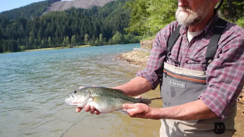 Randy Wildman holds a largemouth bass he caught in Fall Creek Reservoir