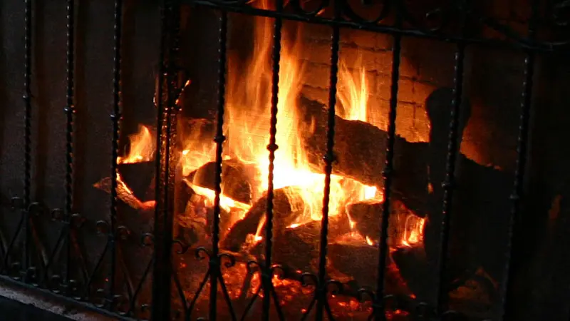 Wood burns in a fireplace.