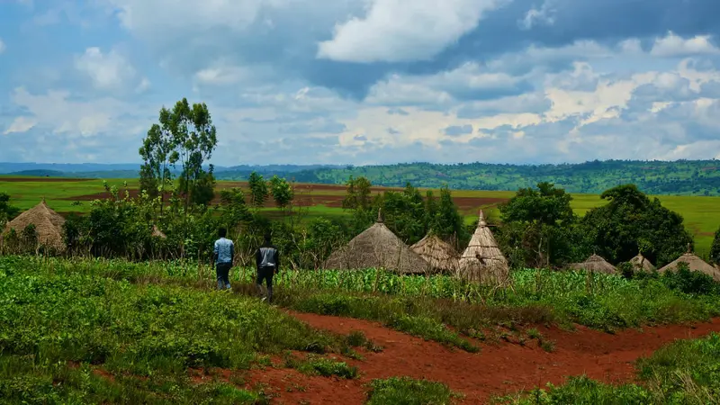 Ethiopian village