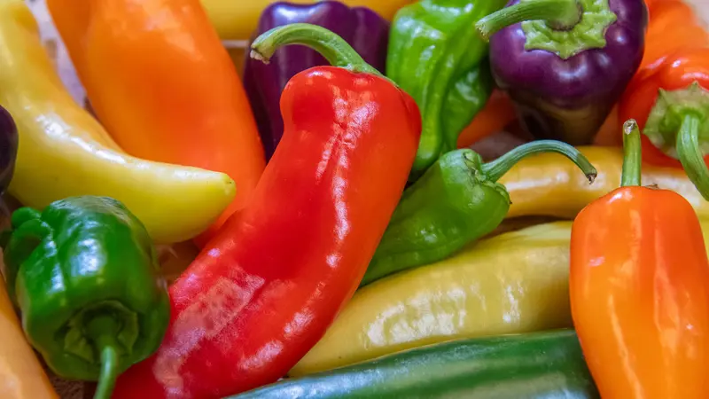 Growing peppers in maritime Northwest is more challenging than in Mexico, but it cane be done.
