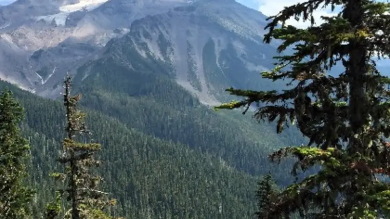Mount Jefferson, photo by Steve Lundeberg