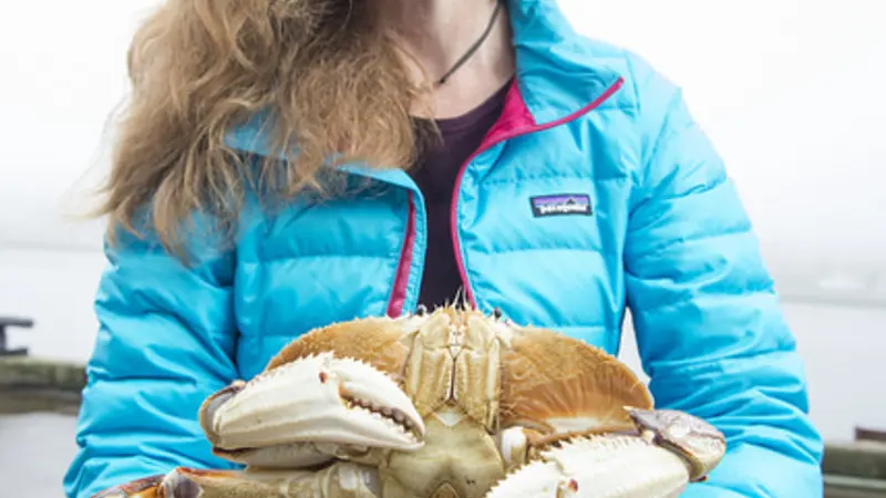 OSU's Kathleen O'Malley with a Dungeness crab.