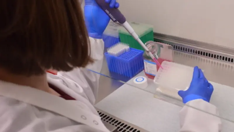 Image shows a lab technician pipetting material into a box of vials in a lab hood. 