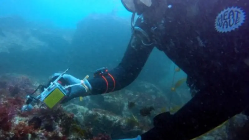 Checking seafloor rugosity