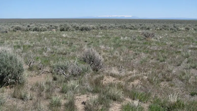 Burned and unburned areas in the Hart Mountain National Antelope Refuge