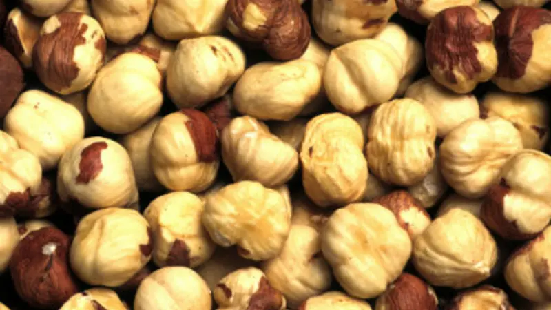 hazelnuts