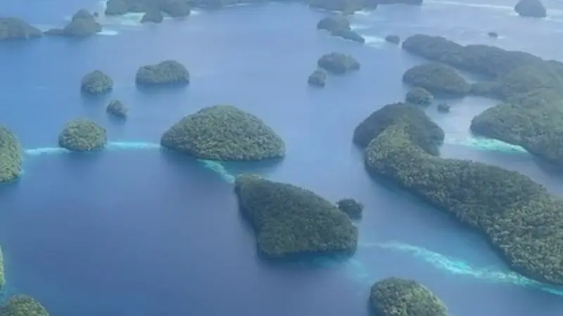 Palau National Marine Sanctuary, photo by Jenna Sullivan-Stack