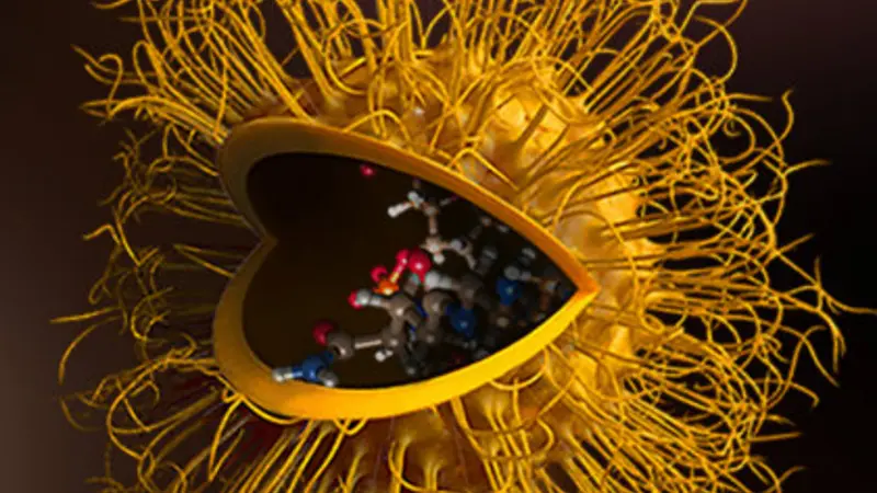 Nanoparticle delivery
