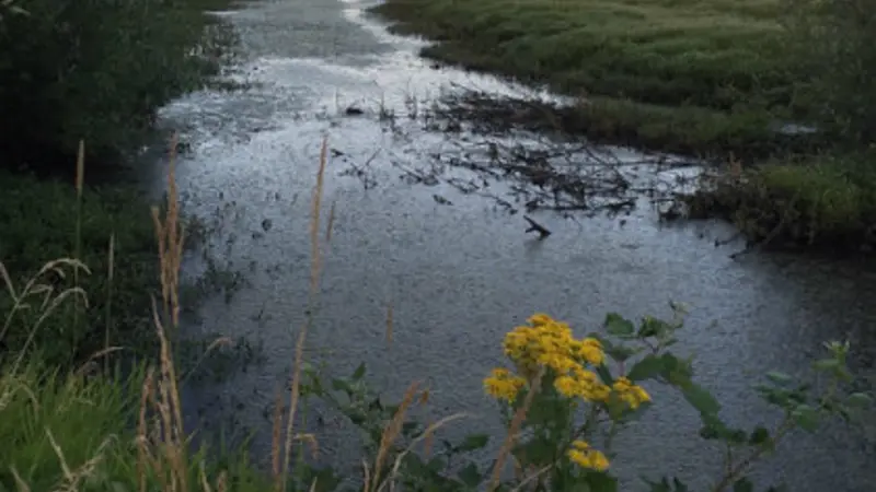 River