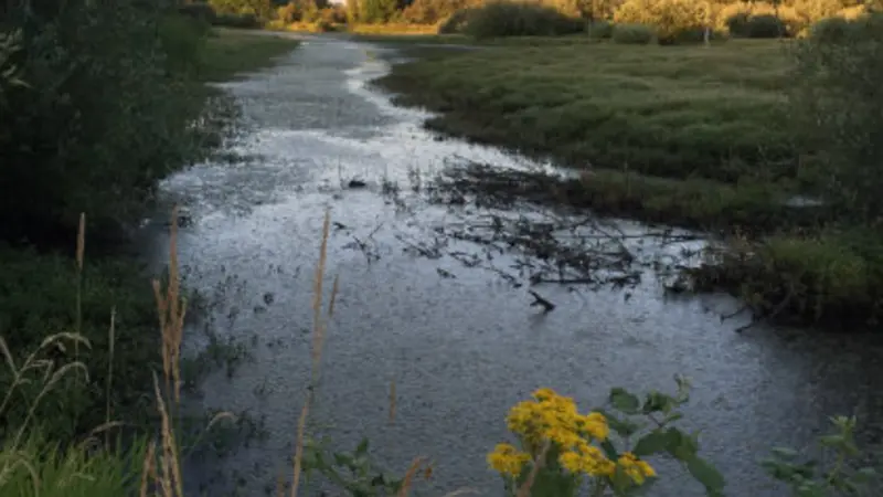 River