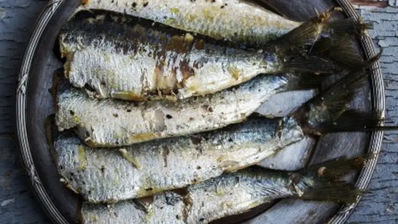 Sardines, pic courtesy Costello lab, UCSB