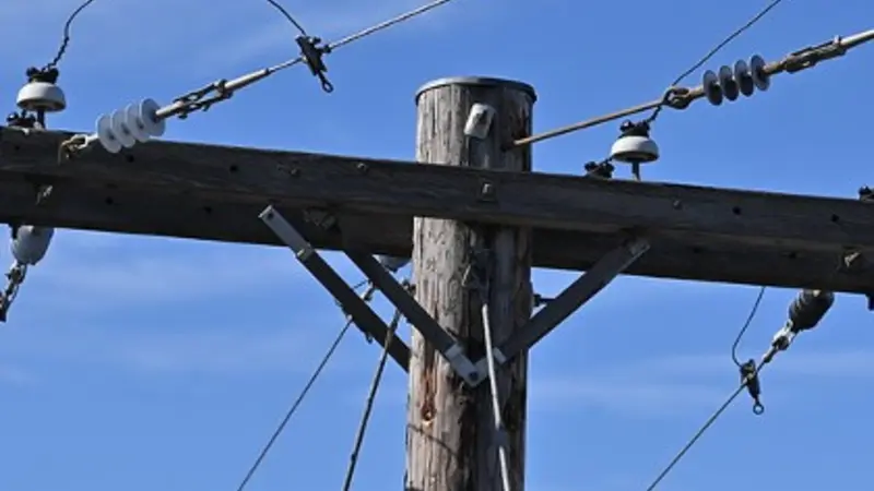 Electricity distribution pole in Portland. (photo provided by Eduardo Cotilla-Sanchez)